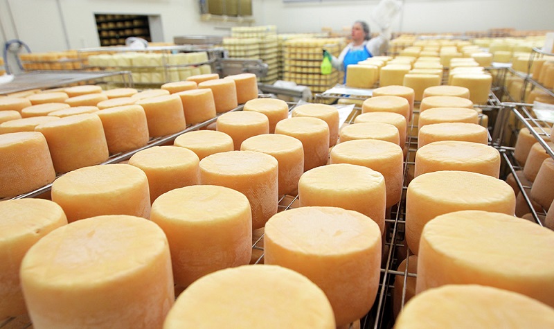 Бизнес идея завод по производству сыра